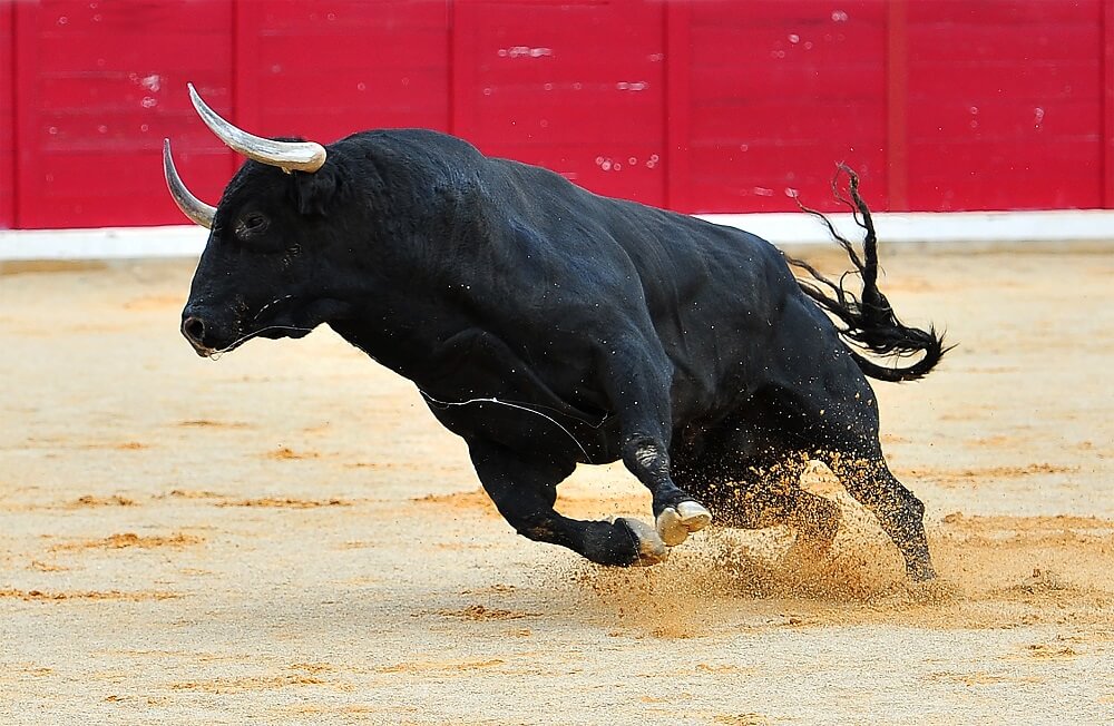 bitcoin bull run on etf news.jpg